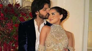 Photo of  तारा सुतारिया और वीर पहाड़िया ने अपने रिश्ते पर लगाई मुहर