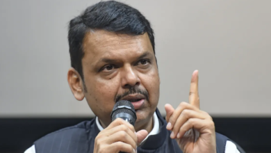 Photo of सीएम फडणवीस पर बनाया पुराना वीडियो वायरल, BJP ने काटा महिला नेता का टिकट