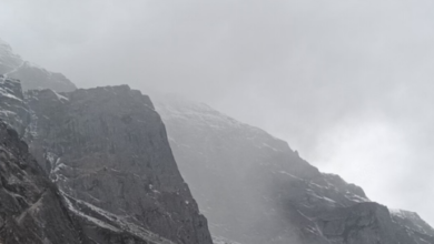 Photo of बारिश-बर्फबारी की बेरुखी का असर, छह जिलों में घने कोहरे की चेतावनी