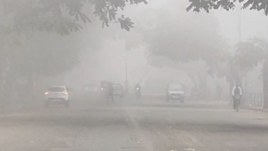 Photo of पंजाब में ठंड का कहर: सीवियर कोल्ड डे पर ठिठुरे अमृतसर और पटियाला