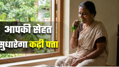 Photo of झड़ते बाल हों या बढ़ता वजन, रोज सुबह कढ़ी पत्ता खाने से 5 बड़ी परेशानियां होंगी छूमंतर
