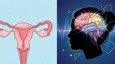 Photo of सिर्फ हॉर्मोन्स नहीं, दिमाग पर भी असर डालता है मेनोपॉज; रिसर्च में सामने आई चौंकाने वाली बात