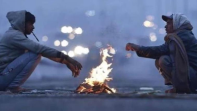 Photo of MP में फिर से जम गई ठंड, कुछ जिलों में पारा 5°C तक गिरा – जानें आपका शहर कैसा रहेगा!