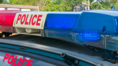 Photo of हरियाणा: गो तस्करों और पुलिस के बीच चली गोलियां, कई किमी. तक पीछा किया