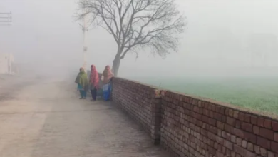 Photo of सुबह धुंध, दोपहर में गर्मी… हरियाणा में तेजी से बदल रहा मौसम