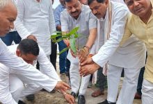Photo of पर्यावरण संरक्षण वर्तमान समय की सबसे बड़ी आवश्यकता है: सांसद