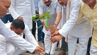 Photo of पर्यावरण संरक्षण वर्तमान समय की सबसे बड़ी आवश्यकता है: सांसद