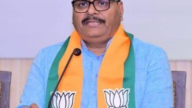 Photo of 16 लाख पौधे लगाएगा स्वास्थ्य विभाग, हर पौधे की देखभाल की होगी जिम्मेदारी : ब्रजेश पाठक | UP Deputy CM Brijesh Pathak