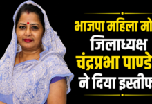 Photo of भाजपा महिला मोर्चा जिलाध्यक्ष चंद्रप्रभा पाण्डेय ने दिया इस्तीफा