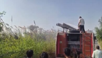 Photo of चदेठी गांव में पराली की आग से मचा हड़कंप, धान की फसल तक पहुंचने से पहले टला बड़ा खतरा