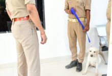 Photo of कुशीनगर पुलिस के डॉग स्क्वॉड में शामिल हुआ ट्रैकर श्वान बेली