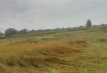 Photo of चक्रवाती बारिश और हवा से जन जीवन ठप